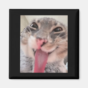 Aimant Derpy Tongue Chat Sortir Mème Drôle Weirdcore M'Of