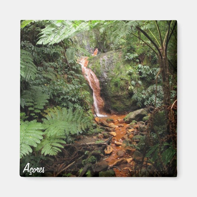 Aimant des Açores - Caldeira Velha (Devant)