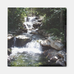 Aimant Des cascades coulent sur des rochers dans une pisc