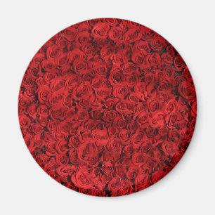 Aimant Des centaines de belles roses rouges