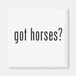 Aimant des chevaux ?