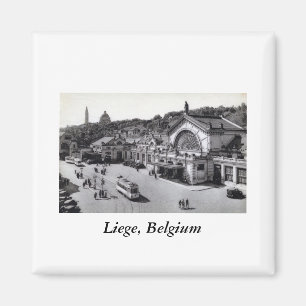 Aimant DES Guillemins, cru de Gare de Liège Belgique