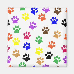 aimant des pattes de chat