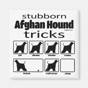 Aimant Des Trucs de chiens afghans têtus