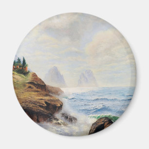 Aimant Des vagues spectaculaires encerclent une côte roch