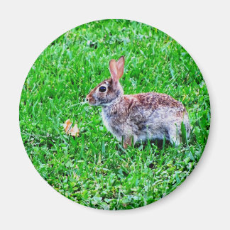 Aimant des yeux innocent