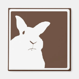 Aimant désapprobateur Brown de lapin