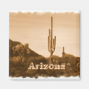 Aimant Désert à sépia, Arizona
