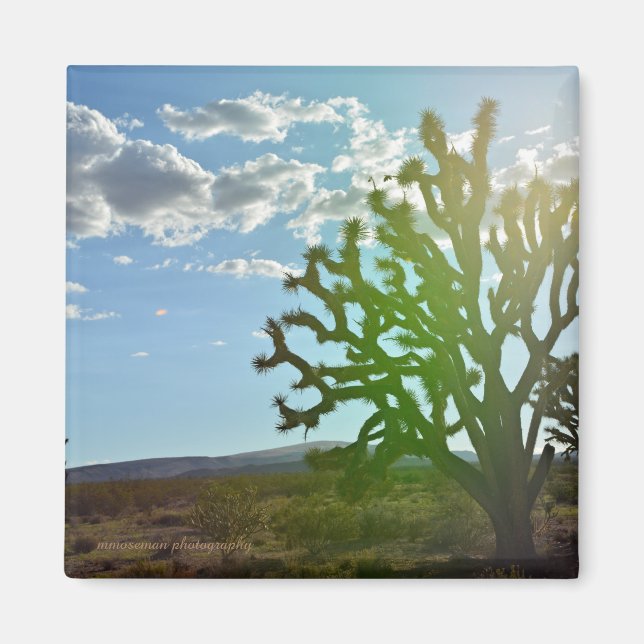 Aimant Desert beauty (Devant)