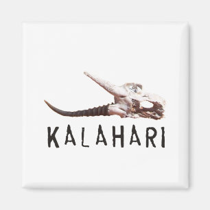 Aimant Désert du Kalahari en Afrique : Crâne d'antilope m