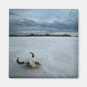 Aimant Deserts Bonneville Salt Flats Utah