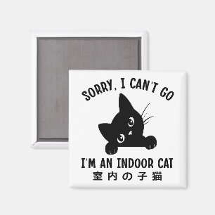 Aimant Désolé je ne peux pas aller Je suis un chat intéri