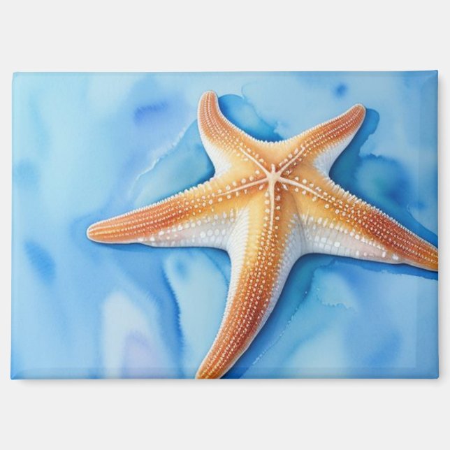 Aimant Dessin aquarelle d'étoile de mer (Recto)