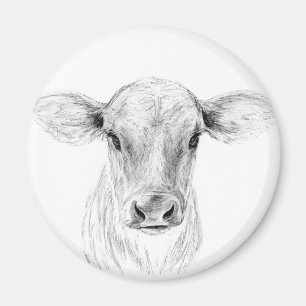 Aimant Dessin au crayon d'une vache Jersey