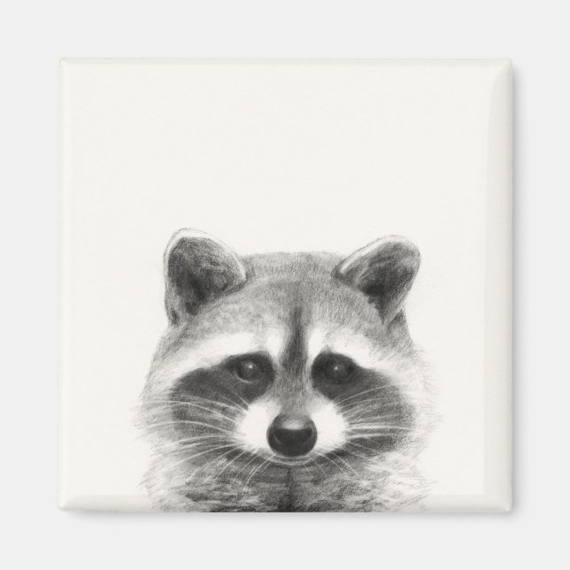 Aimant Dessin au crayon Raccoon (Devant)