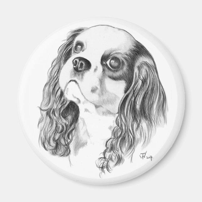 Aimant Dessin Cavalier King Charles (Devant)