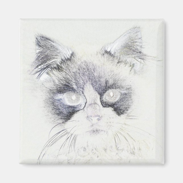 Aimant Dessin crayon de chat (Devant)