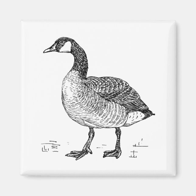 Aimant Dessin de la nature de l'oie canadienne (Devant)