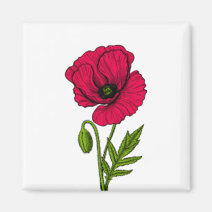 Aimant Dessin de pavot rouge