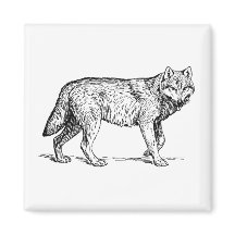 Dessin d'encre élégante de loup gris