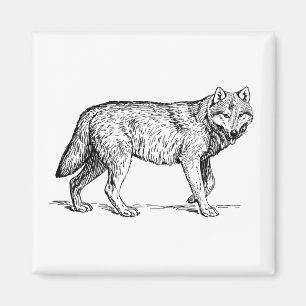 Aimant Dessin d'encre élégante de loup gris
