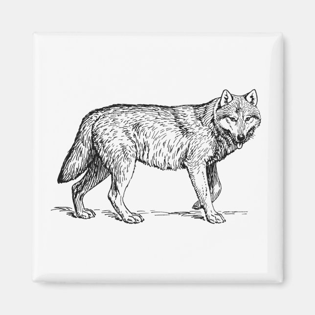 Aimant Dessin d'encre élégante de loup gris (Devant)