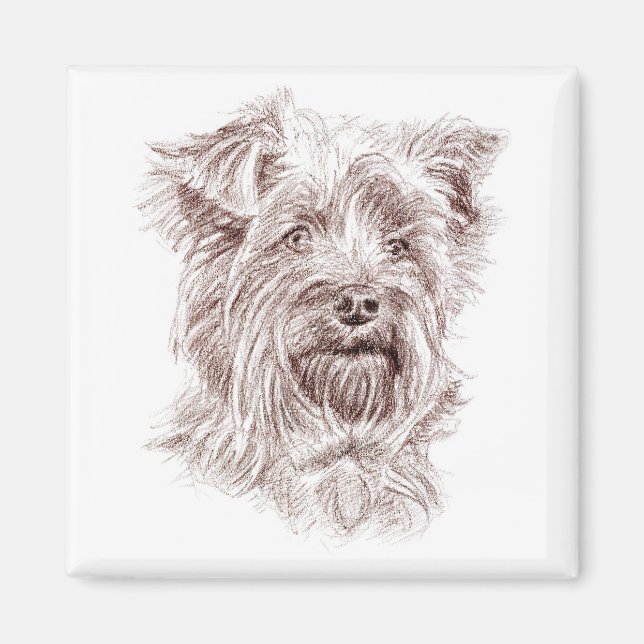 Aimant Dessin Yorkshire Terrier (Devant)