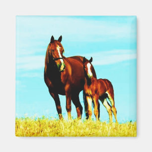 Aimant Destin mignon de nature animale de ferme de