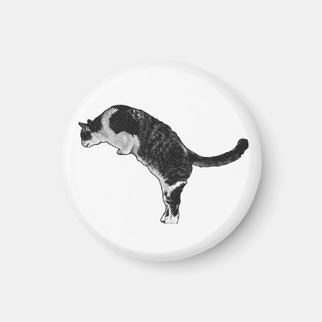 Aimant Détail de chat magnétique (Devant)