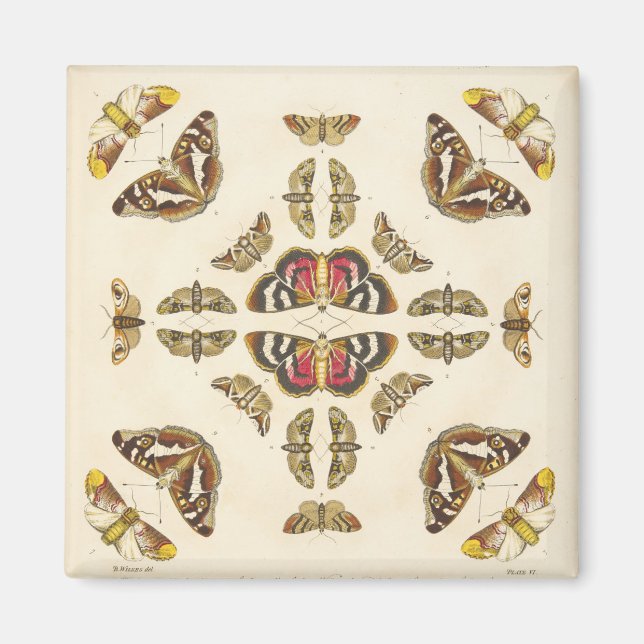 Aimant Détail de la plaque VI (Devant)