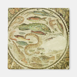 Aimant Détail des poissons, les quatre saisons, de Vega