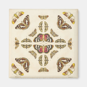 Aimant Détaillez du plat VI