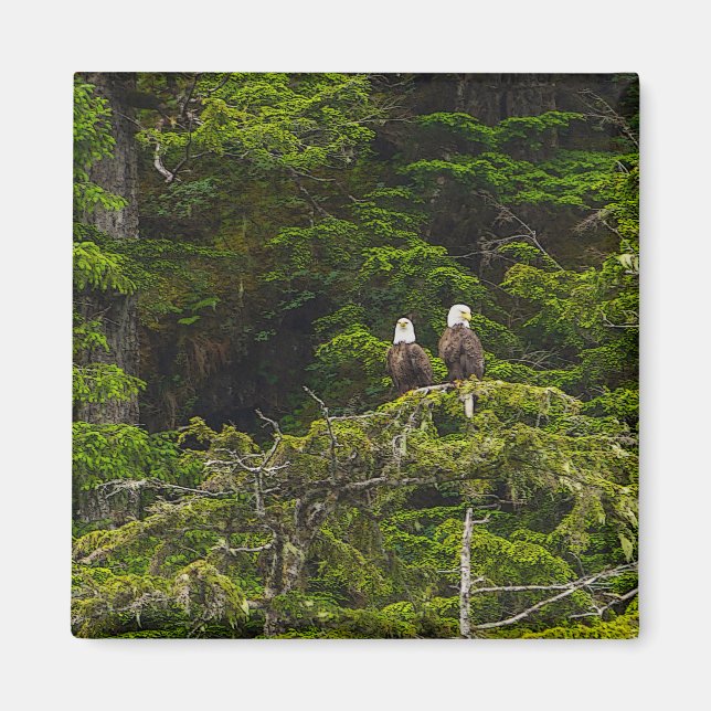 Aimant Deux aigles perchés peinturlurés (Devant)