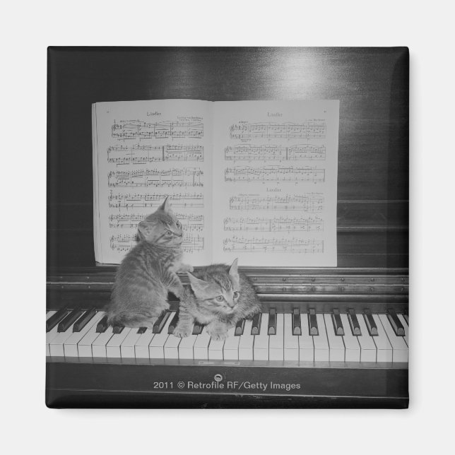 Aimant Deux chatons assis sur le clavier du piano par feu (Devant)