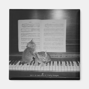 Aimant Deux chatons se reposant sur le clavier de piano