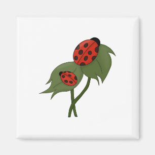 Aimant Deux mignons coccinelles sur un plante