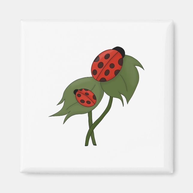 Aimant Deux mignons coccinelles sur un plante (Devant)