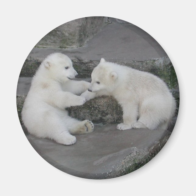 Aimant Deux oursons polaires (Devant)