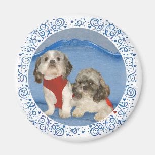 Aimant Deux petits chiens de sauvetage Shih Tzu