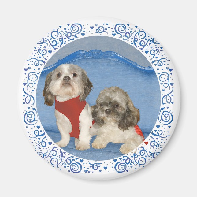 Aimant Deux petits chiens de sauvetage Shih Tzu (Devant)