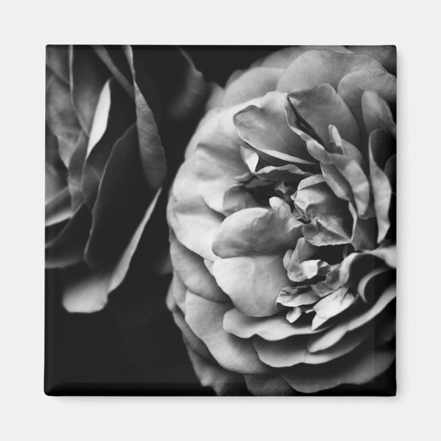 Aimant deux roses (Devant)
