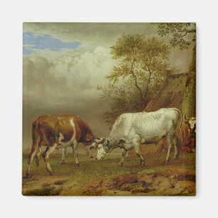 Aimant Deux taureaux avec cornes verrouillées, 1653