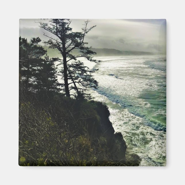 Aimant Devil's Punchbowl State Park, Newport, Oregon (Devant)