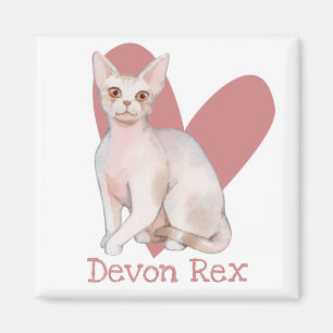 Aimant Dévon Rex Chat Aquarelle Kitty Coeur rose