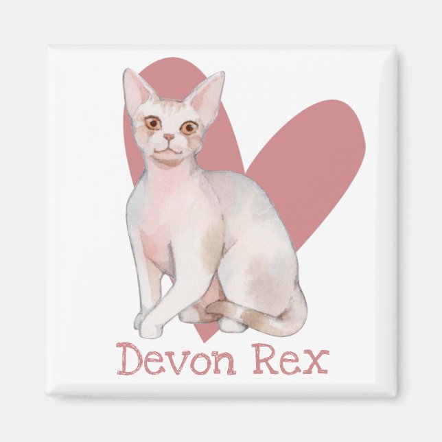 Aimant Dévon Rex Chat Aquarelle Kitty Coeur rose (Devant)