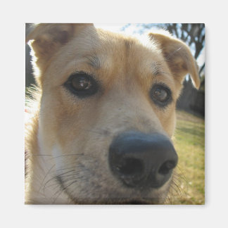 Aimant Dexter Week-end