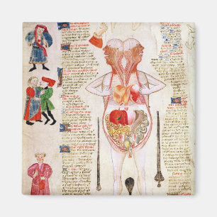 Aimant Diagramme anatomique