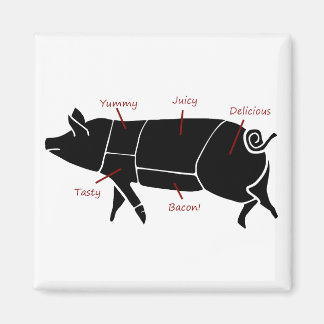 Aimant Diagramme de diagramme de boucher de porc amusant