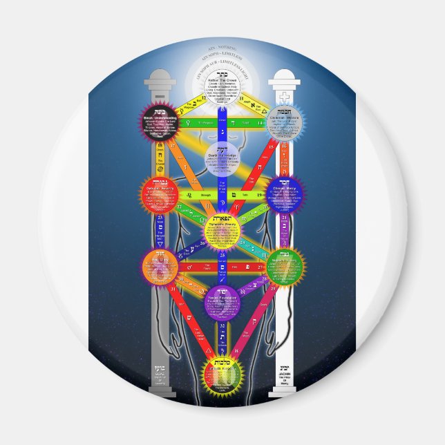 Aimant Diagramme de la structure de l'arbre de vie de la  (Devant)