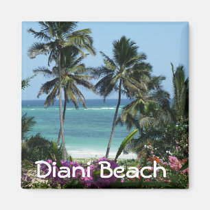 Aimant Diani Beach près de Mombasa Afrka